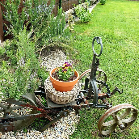 Alcamino Момпия